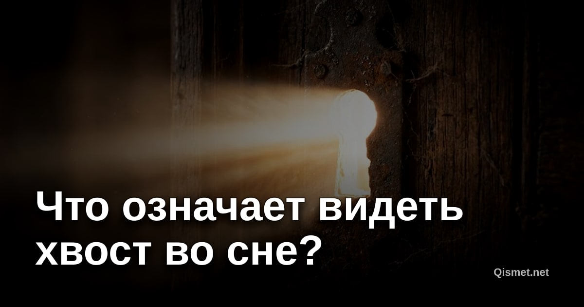 Что означает видеть хвост во сне?