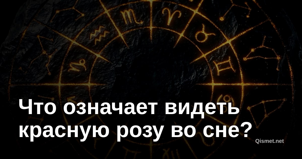 Что означает видеть красную розу во сне?