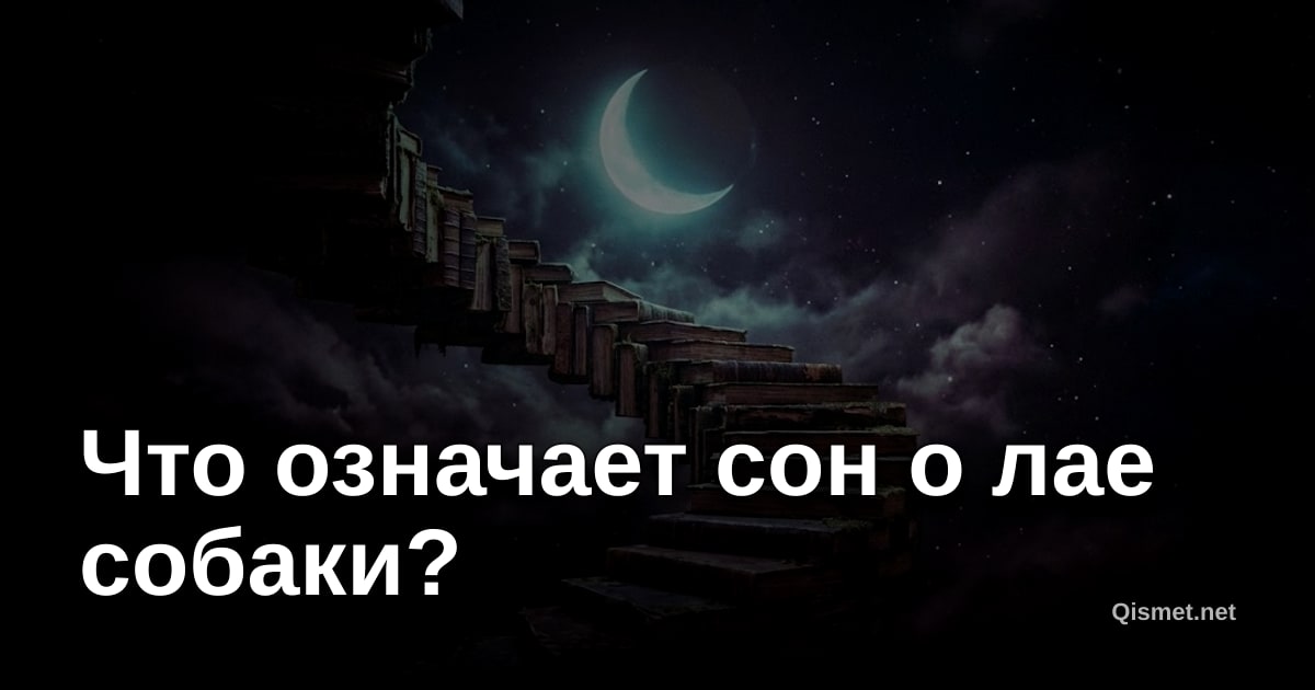 Что означает сон о лае собаки?