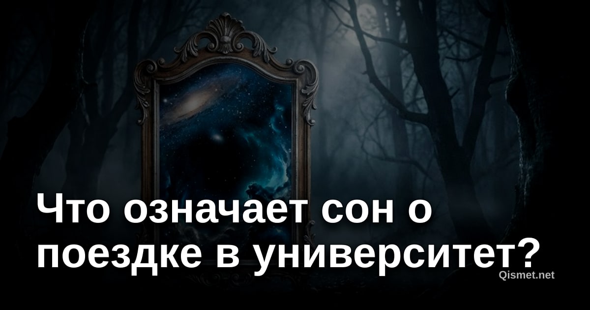 Что означает сон о поездке в университет?