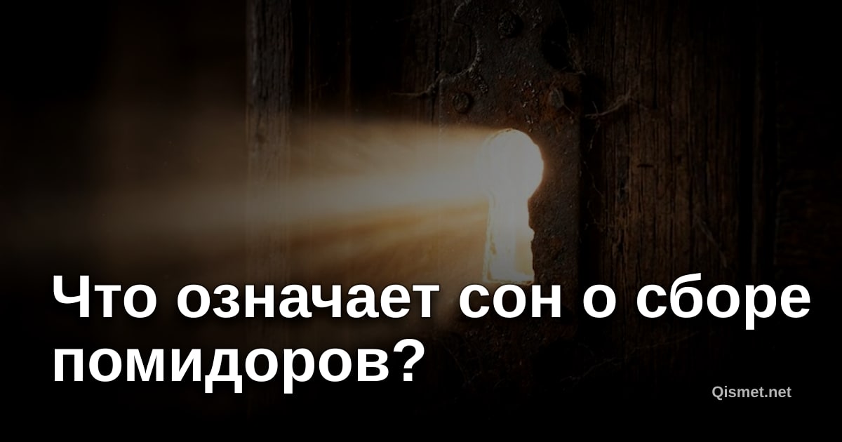 Что означает сон о сборе помидоров?