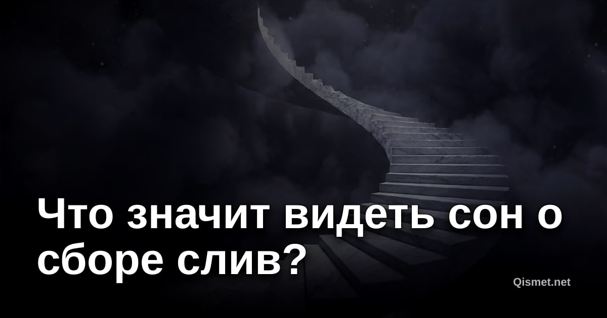 Что значит видеть сон о сборе слив?