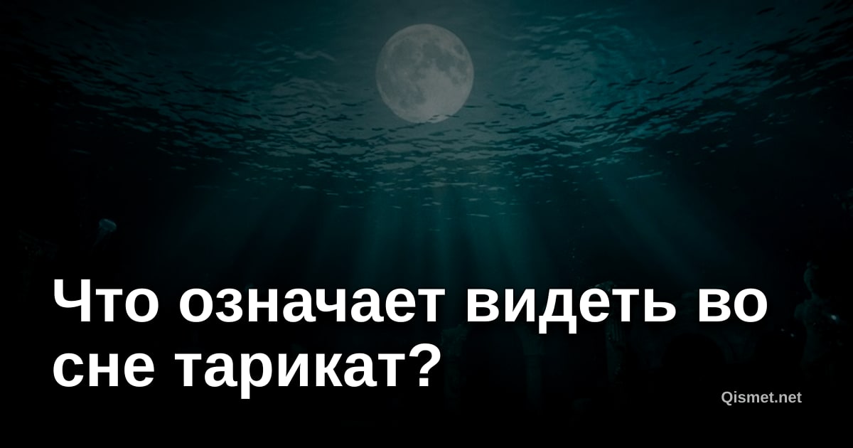 Что означает видеть во сне тарикат?