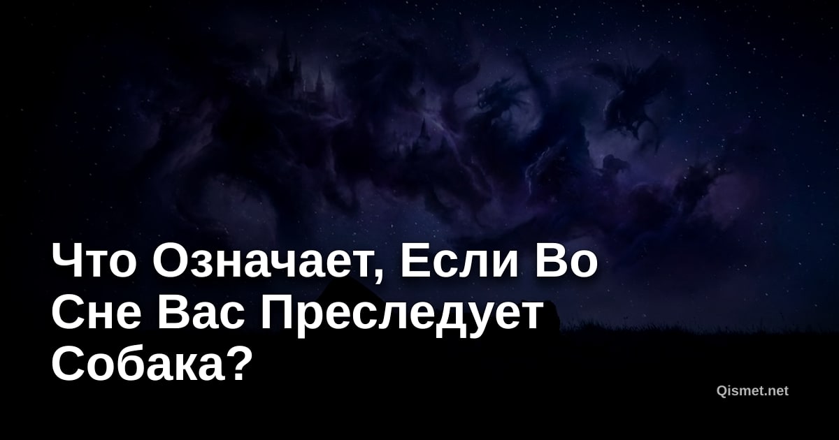 Что Означает, Если Во Сне Вас Преследует Собака?