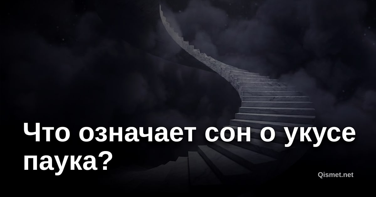 Что означает сон о укусе паука?