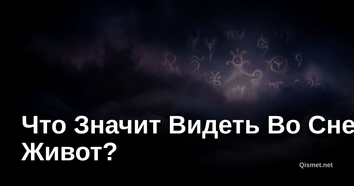 Что Значит Видеть Во Сне Живот?