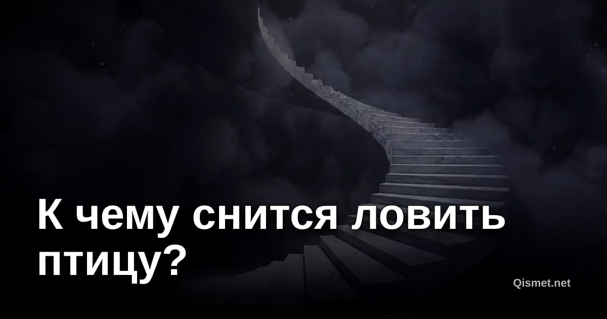 К чему снится ловить птицу?