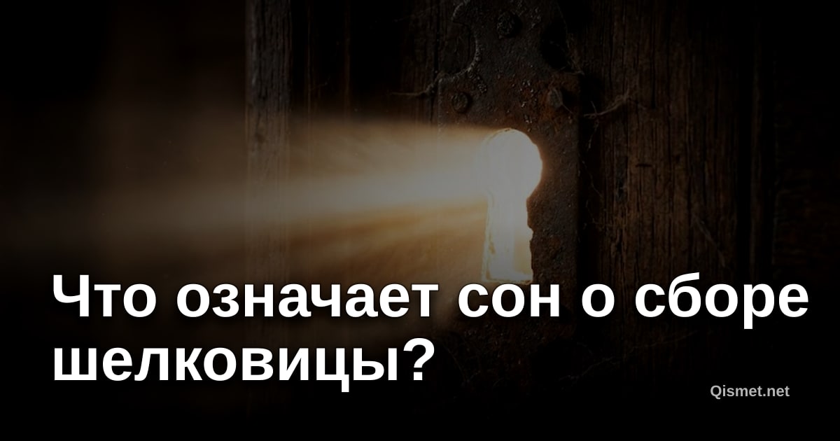 Что означает сон о сборе шелковицы?
