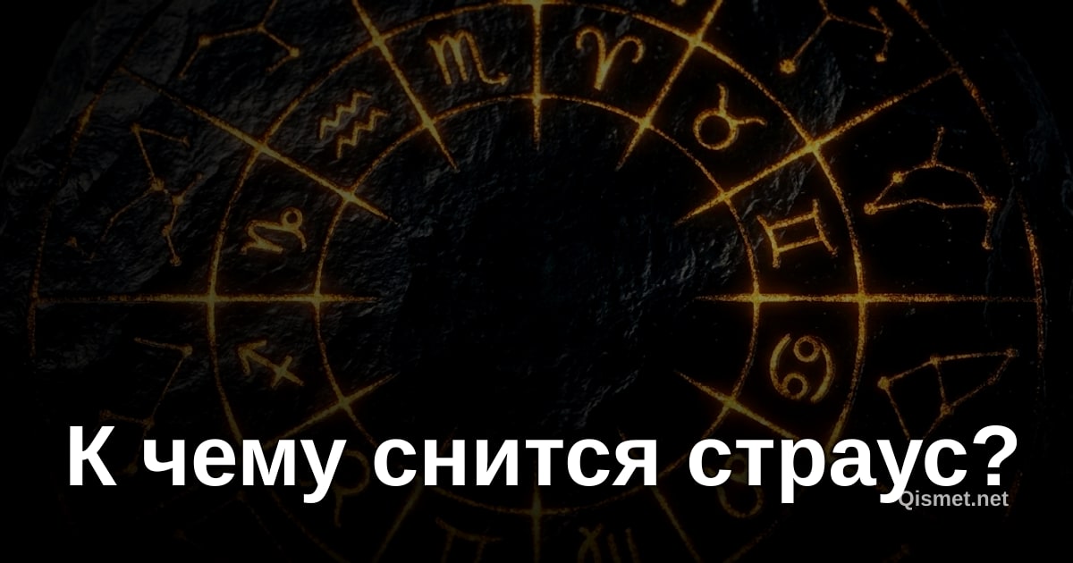 К чему снится страус?