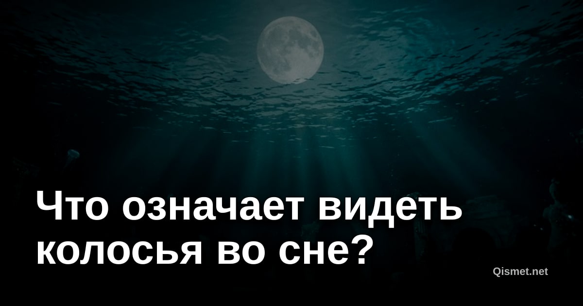 Что означает видеть колосья во сне?