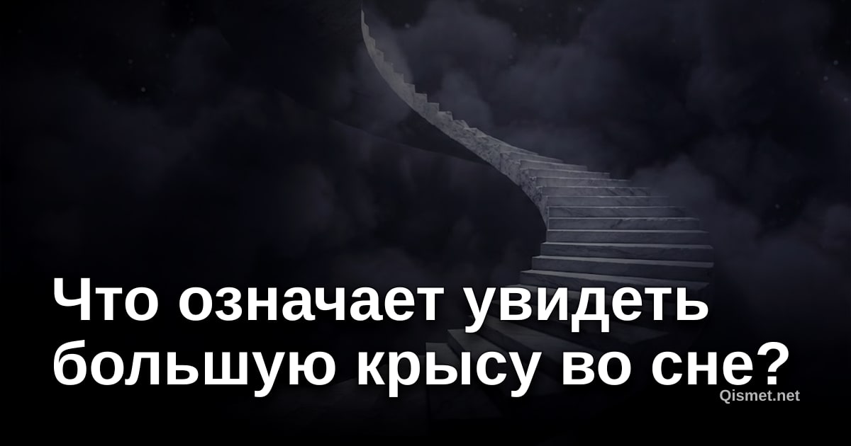 Что означает увидеть большую крысу во сне?