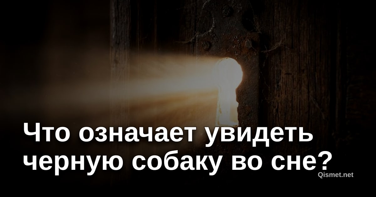 Что означает увидеть черную собаку во сне?
