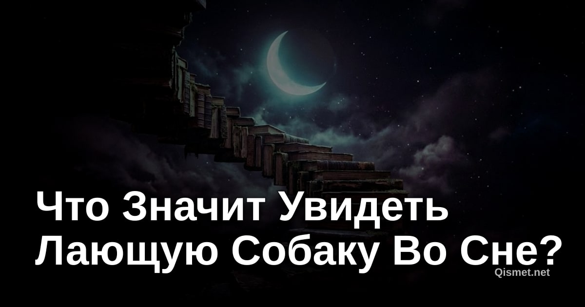 Что Значит Увидеть Лающую Собаку Во Сне?