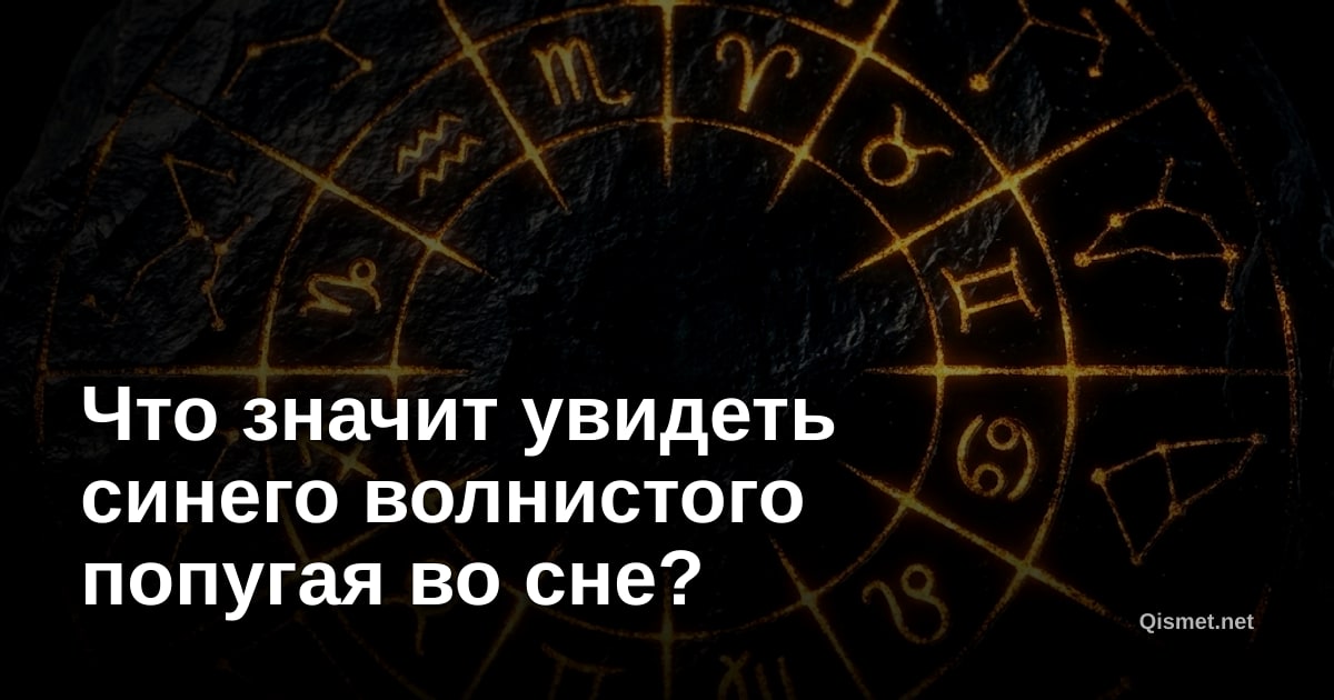 Что значит увидеть синего волнистого попугая во сне?