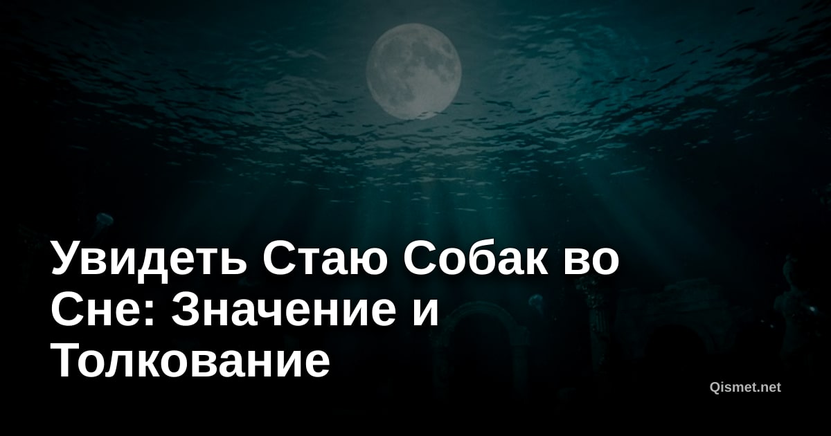 Увидеть Стаю Собак во Сне: Значение и Толкование
