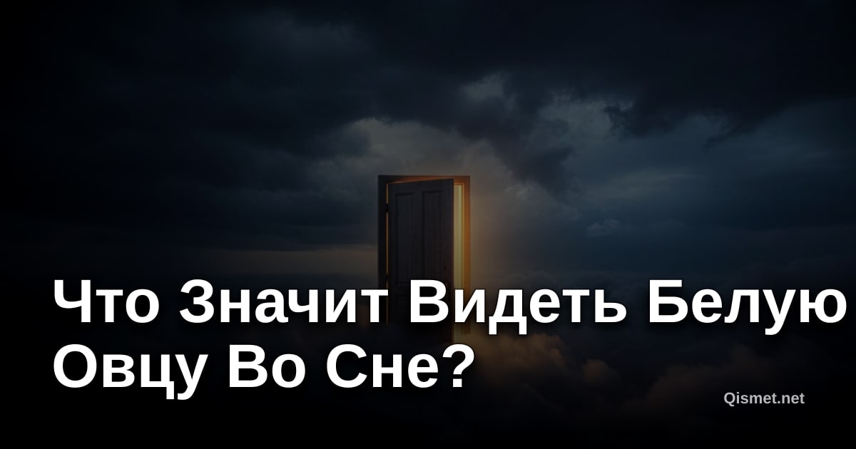 Что Значит Видеть Белую Овцу Во Сне?