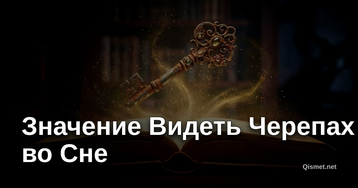 Значение Видеть Черепах во Сне