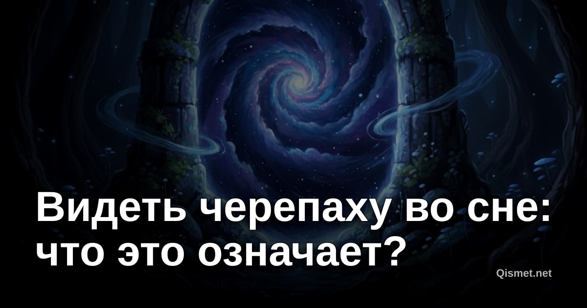 Видеть черепаху во сне: что это означает?