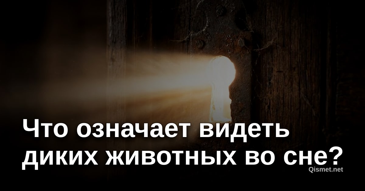 Что означает видеть диких животных во сне?