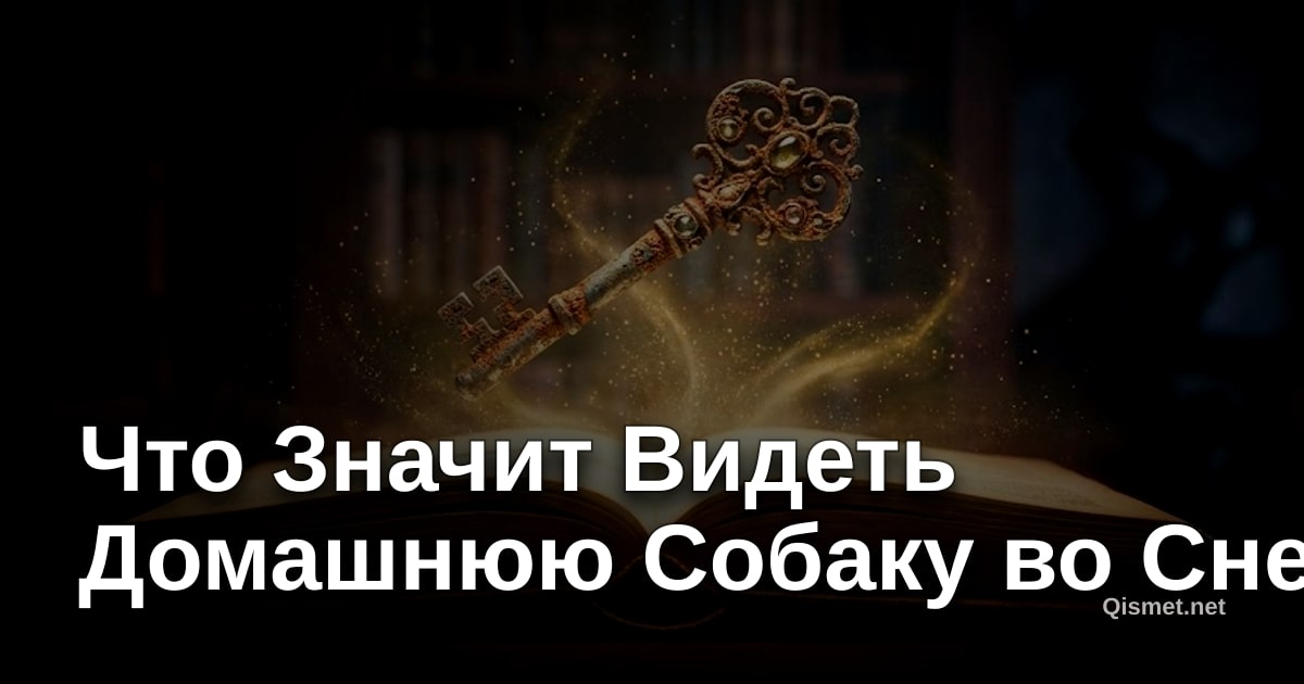 Что Значит Видеть Домашнюю Собаку во Сне?
