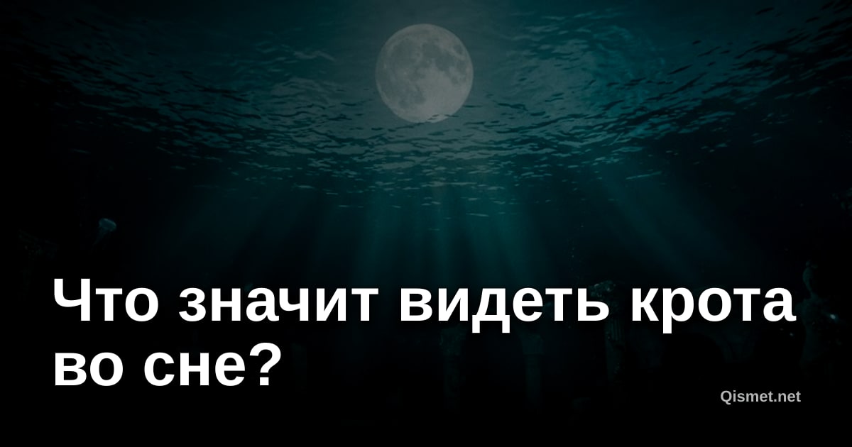 Что значит видеть крота во сне?