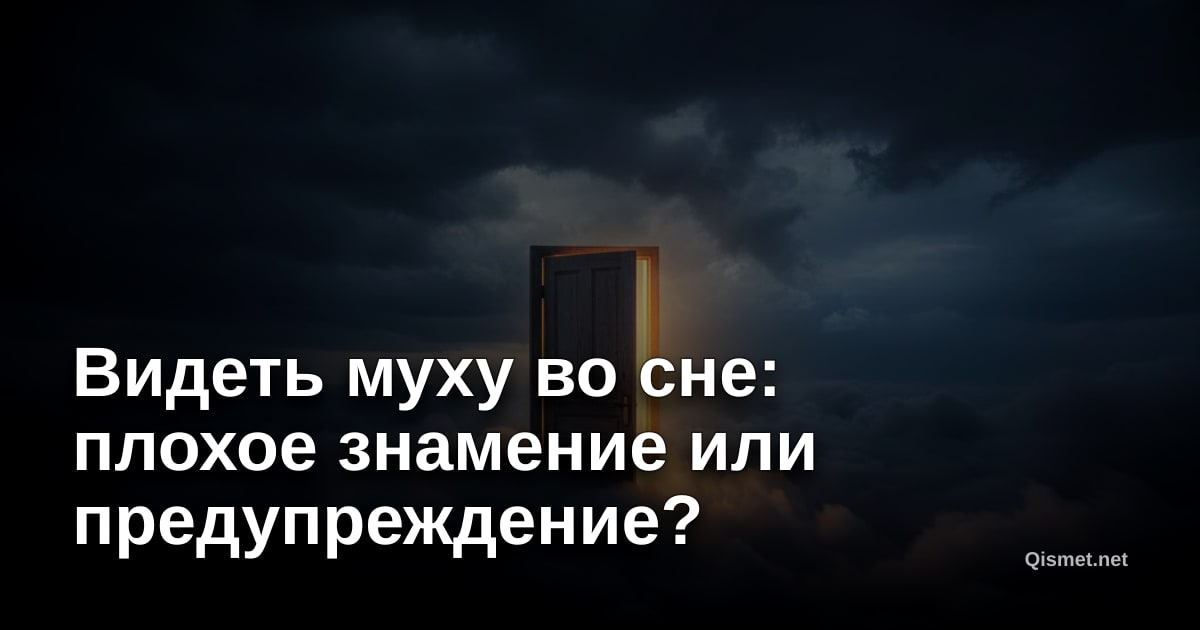 Видеть муху во сне: плохое знамение или предупреждение?