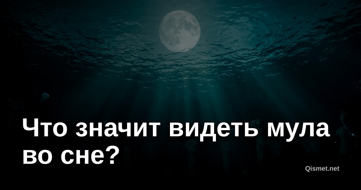 Что значит видеть мула во сне?