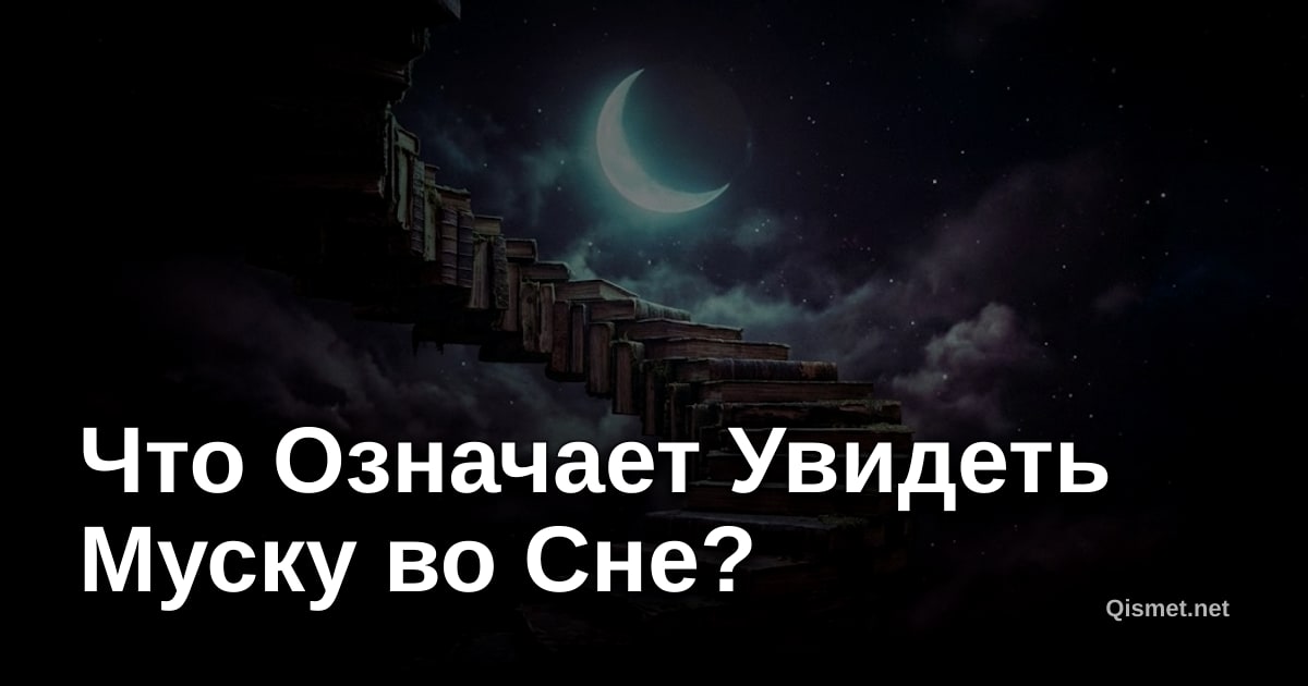 Что Означает Увидеть Муску во Сне?