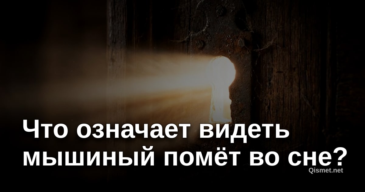 Что означает видеть мышиный помёт во сне?