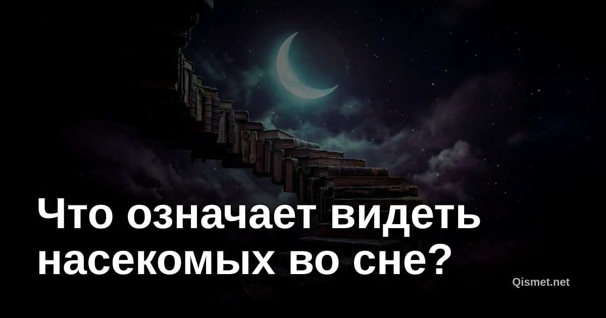 Что означает видеть насекомых во сне?
