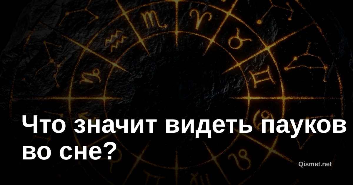 Что значит видеть пауков во сне?