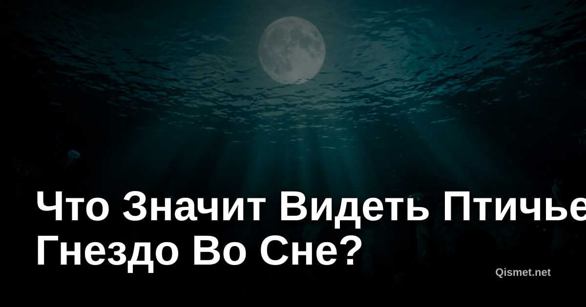 Что Значит Видеть Птичье Гнездо Во Сне?