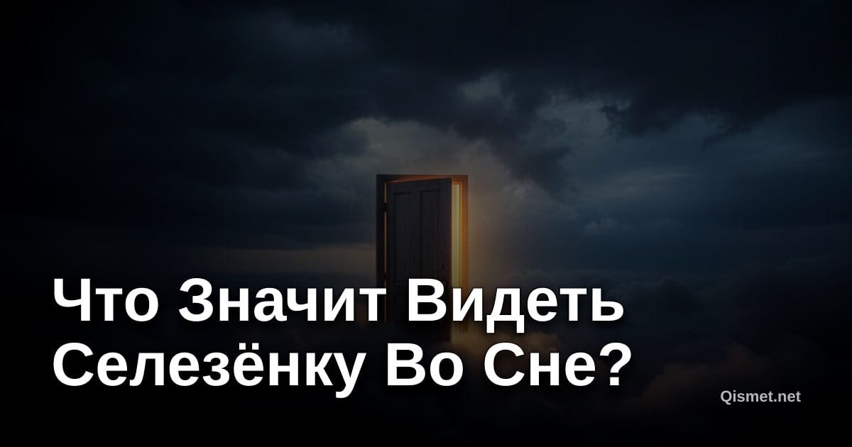 Что Значит Видеть Селезёнку Во Сне?
