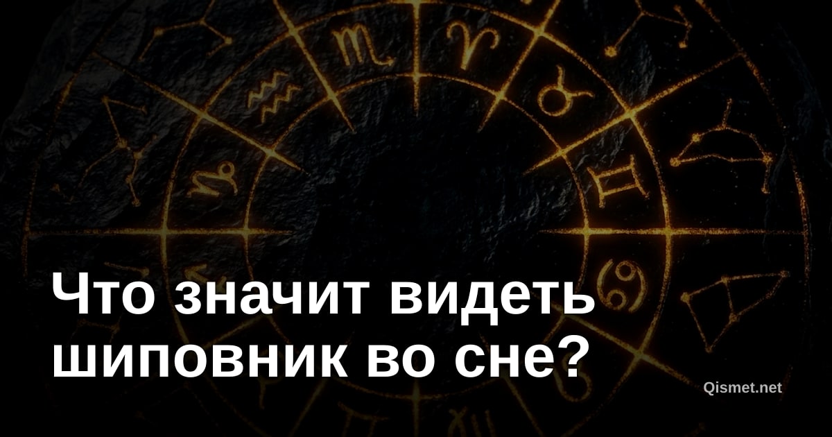 Что значит видеть шиповник во сне?