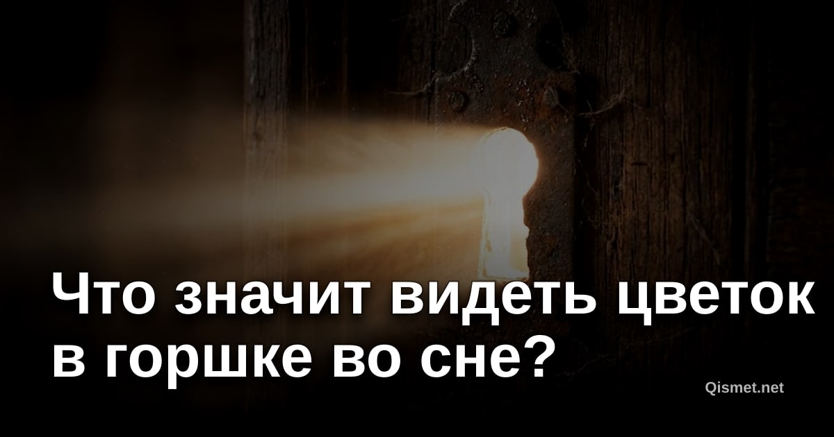Что значит видеть цветок в горшке во сне?
