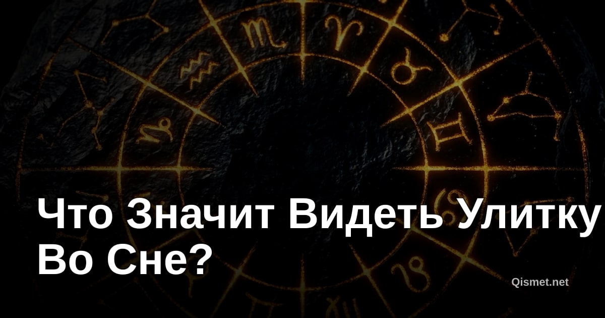 Что Значит Видеть Улитку Во Сне?