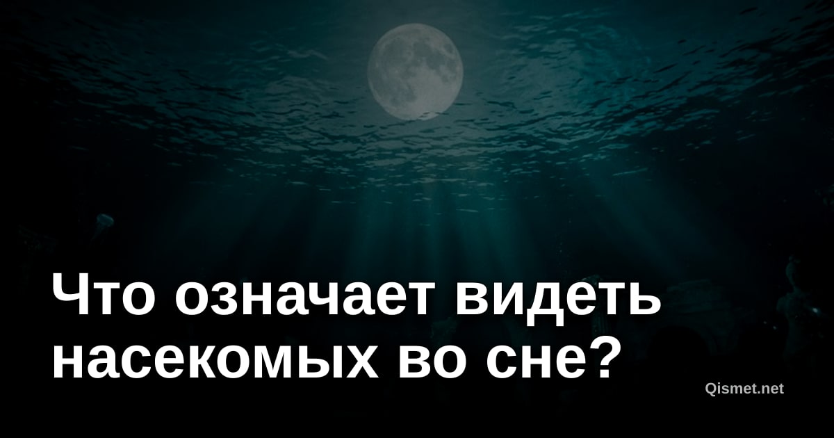 Что означает видеть насекомых во сне?
