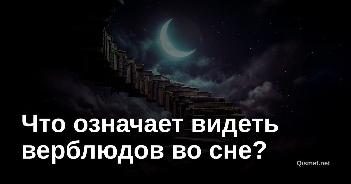 Что означает видеть верблюдов во сне?