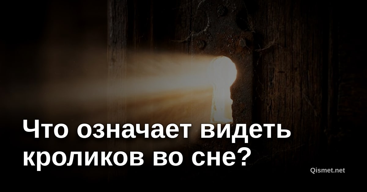 Что означает видеть кроликов во сне?