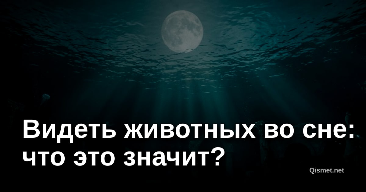Видеть животных во сне: что это значит?
