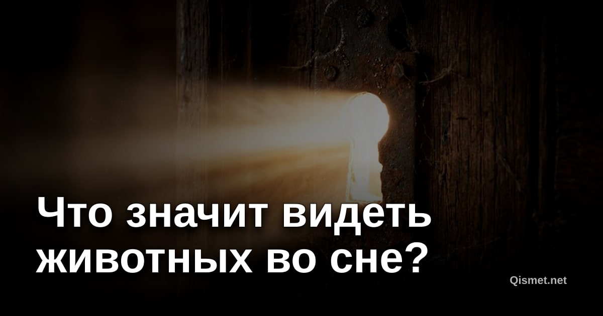 Что значит видеть животных во сне?